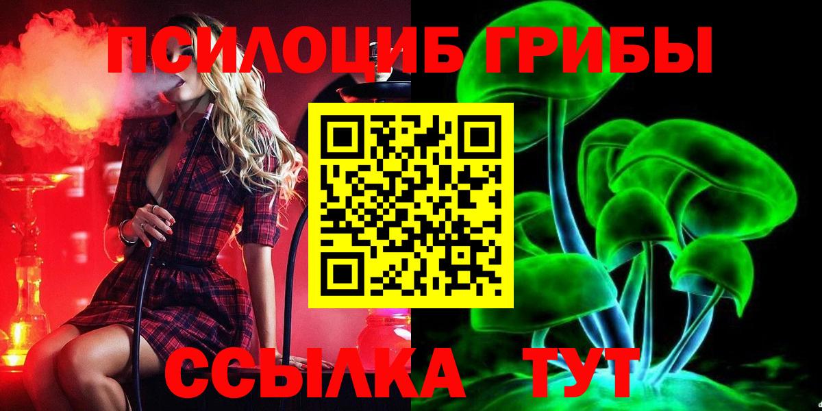 Псилоцибиновые грибы Psilocybe Губкинский