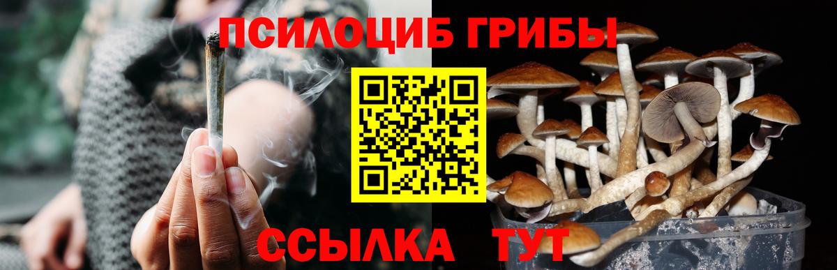купить наркоту  Вход с VPN  Губкинский  Псилоцибиновые грибы прущие грибы 